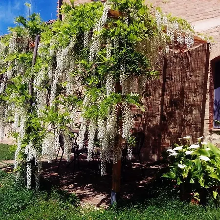La Fornace Di San Galgano Chiusdino