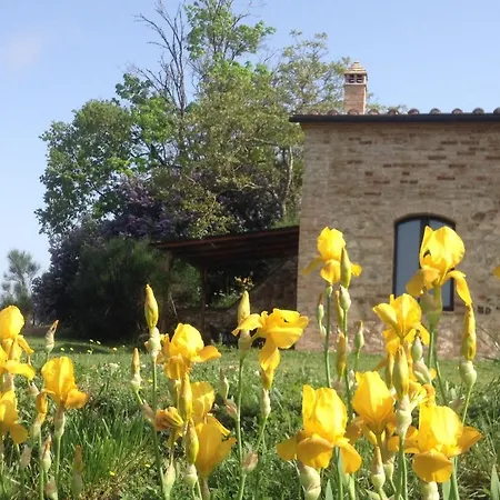 La Fornace Di San Galgano Farm stay Chiusdino